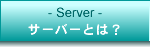 �T�[�o�[�E�h���C���Ƃ́H