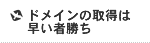 �h���C���̎擾�͑����ҏ���